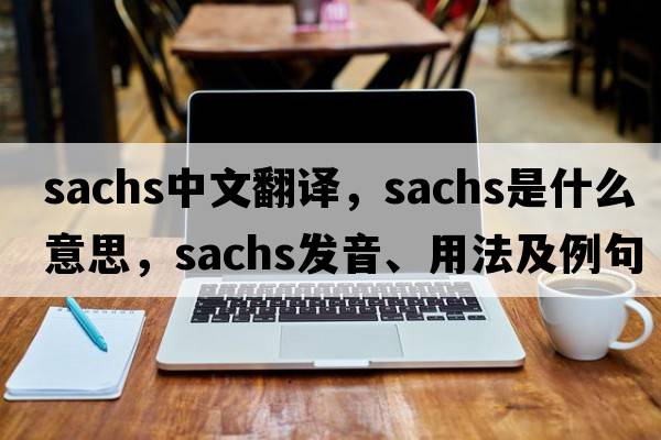 Sachs中文翻譯，Sachs是什么意思，Sachs發(fā)音、用法及例句
