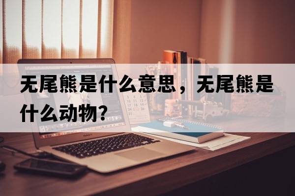 無(wú)尾熊是什么意思，無(wú)尾熊是什么動(dòng)物？