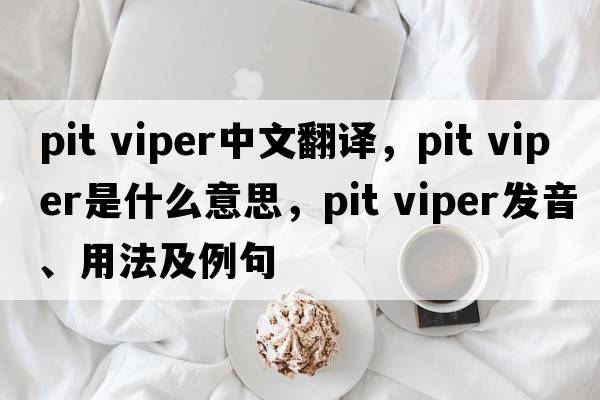 pit viper中文翻譯，pit viper是什么意思，pit viper發(fā)音、用法及例句