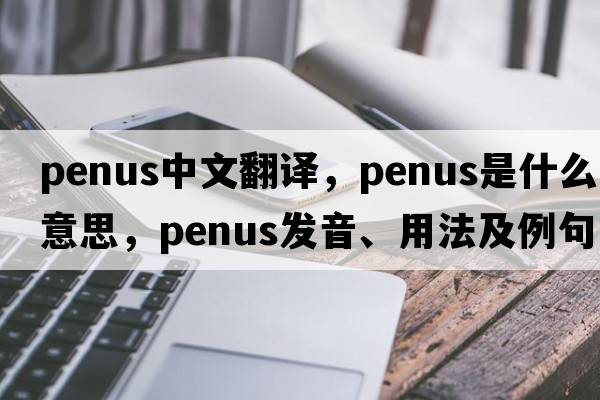 penus中文翻譯，penus是什么意思，penus發(fā)音、用法及例句