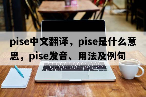 pise中文翻譯，pise是什么意思，pise發(fā)音、用法及例句
