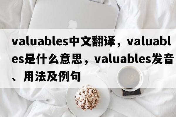 valuables中文翻譯，valuables是什么意思，valuables發(fā)音、用法及例句