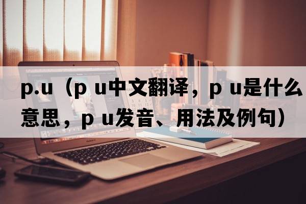 p.u（p u中文翻譯，p u是什么意思，p u發(fā)音、用法及例句）