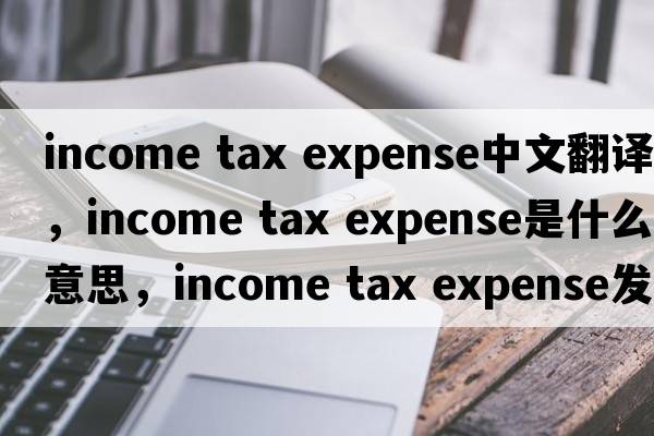 income tax expense中文翻譯，income tax expense是什么意思，income tax expense發(fā)音、用法及例句