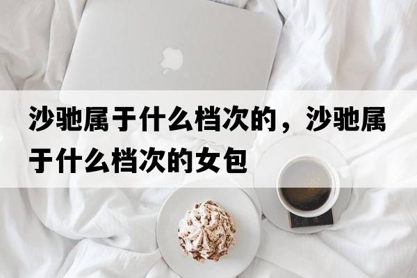 沙馳屬于什么檔次的，沙馳屬于什么檔次的女包