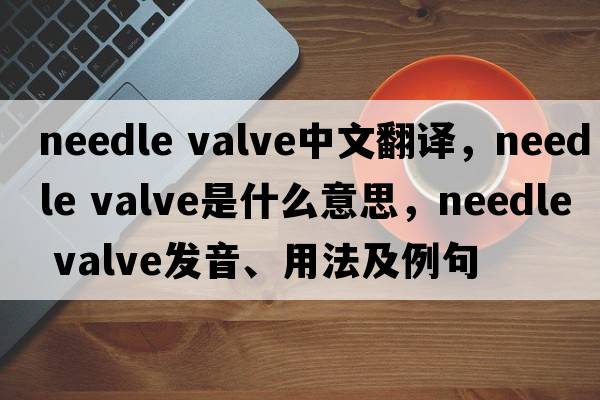 needle valve中文翻譯，needle valve是什么意思，needle valve發(fā)音、用法及例句