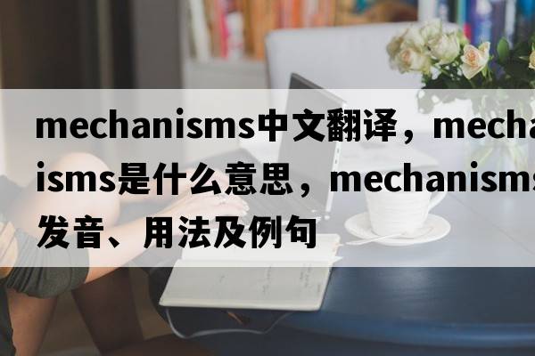 mechanisms中文翻譯，mechanisms是什么意思，mechanisms發(fā)音、用法及例句