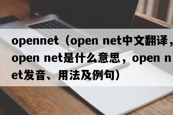 opennet（open net中文翻譯，open net是什么意思，open net發(fā)音、用法及例句）
