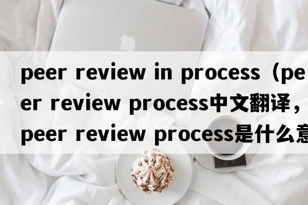 peer review in process（peer review process中文翻譯，peer review process是什么意思，peer review process發(fā)音、用法及例句）