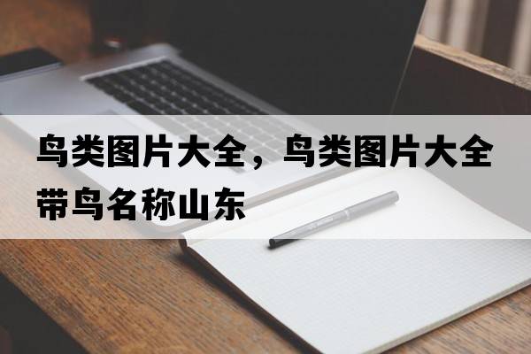 鳥(niǎo)類(lèi)圖片大全，鳥(niǎo)類(lèi)圖片大全帶鳥(niǎo)名稱(chēng)山東