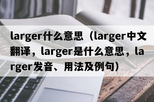 larger什么意思（larger中文翻譯，larger是什么意思，larger發(fā)音、用法及例句）