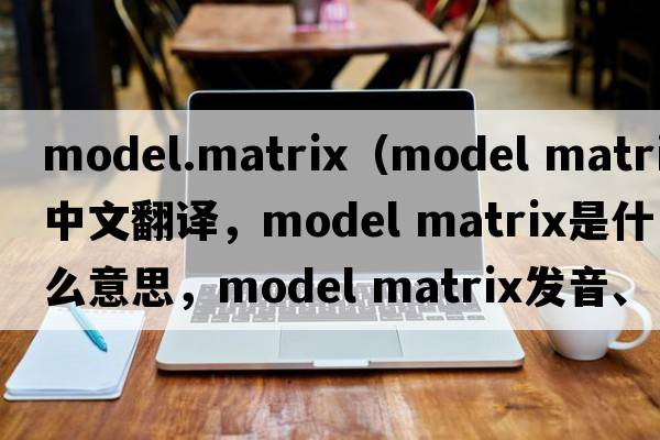 model.matrix（model matrix中文翻譯，model matrix是什么意思，model matrix發(fā)音、用法及例句）