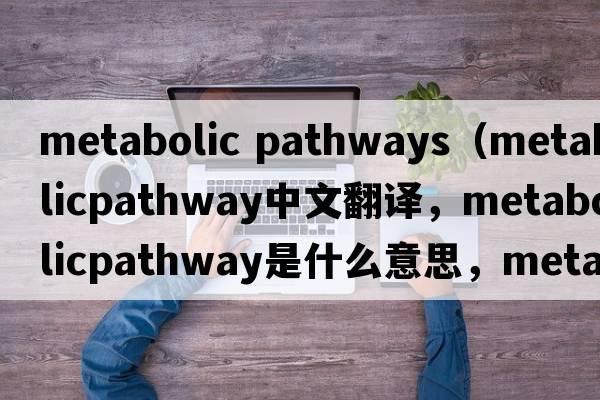 metabolic pathways（metabolicpathway中文翻譯，metabolicpathway是什么意思，metabolicpathway發(fā)音、用法及例句）