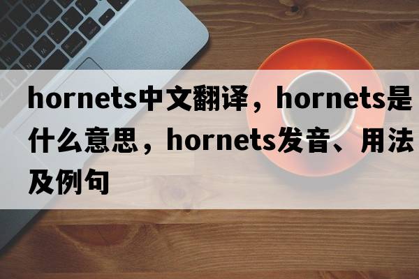 hornets中文翻譯，hornets是什么意思，hornets發(fā)音、用法及例句