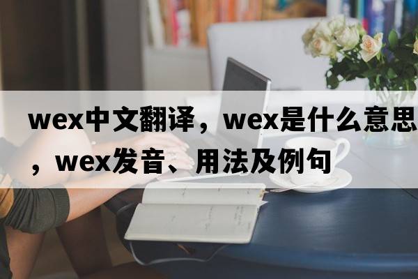 WEX中文翻譯，WEX是什么意思，WEX發(fā)音、用法及例句
