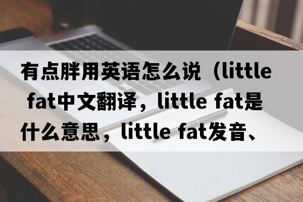 有點(diǎn)胖用英語(yǔ)怎么說(shuō)（little fat中文翻譯，little fat是什么意思，little fat發(fā)音、用法及例句）