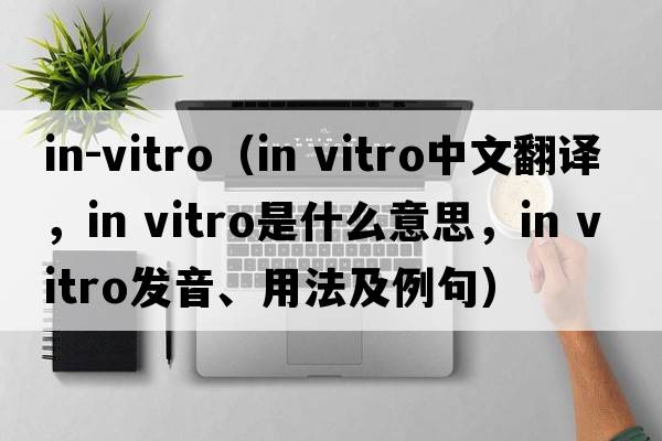 in-vitro（in vitro中文翻譯，in vitro是什么意思，in vitro發(fā)音、用法及例句）
