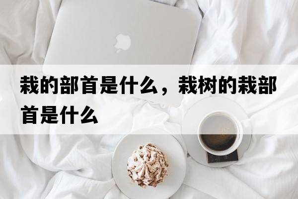 栽的部首是什么，栽樹(shù)的栽部首是什么