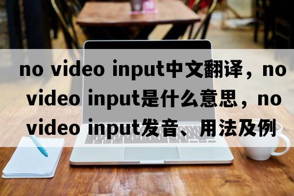 no video input中文翻譯，no video input是什么意思，no video input發(fā)音、用法及例句