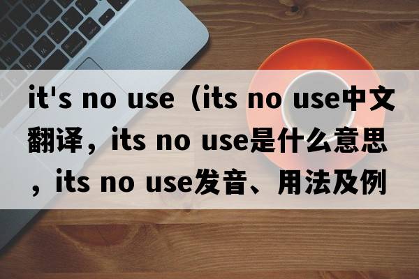 it's no use（its no use中文翻譯，its no use是什么意思，its no use發(fā)音、用法及例句）