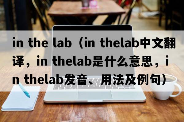 in the lab（in thelab中文翻譯，in thelab是什么意思，in thelab發(fā)音、用法及例句）