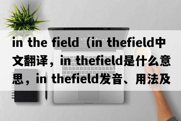 in the field（in thefield中文翻譯，in thefield是什么意思，in thefield發(fā)音、用法及例句）