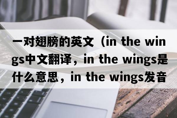 一對翅膀的英文（in the wings中文翻譯，in the wings是什么意思，in the wings發(fā)音、用法及例句）