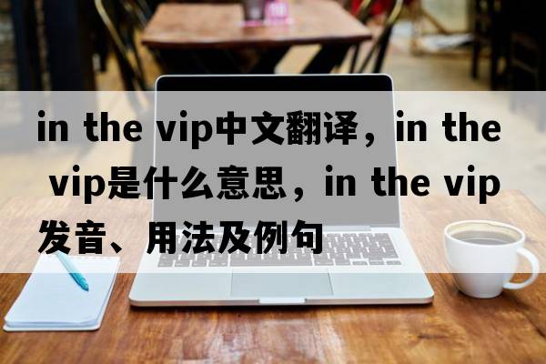 in the vip中文翻譯，in the vip是什么意思，in the vip發(fā)音、用法及例句