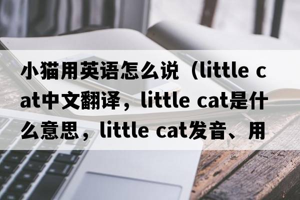 小貓用英語(yǔ)怎么說(shuō)（little cat中文翻譯，little cat是什么意思，little cat發(fā)音、用法及例句）