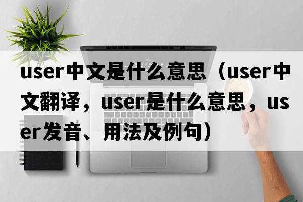 user中文是什么意思（user中文翻譯，user是什么意思，user發(fā)音、用法及例句）