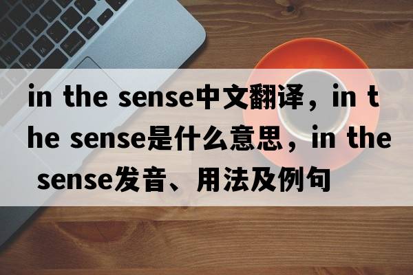in the sense中文翻譯，in the sense是什么意思，in the sense發(fā)音、用法及例句