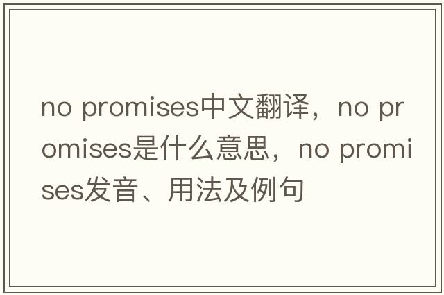 no promises中文翻譯，no promises是什么意思，no promises發(fā)音、用法及例句