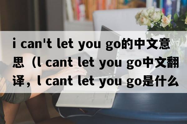 i can't let you go的中文意思（l cant let you go中文翻譯，l cant let you go是什么意思，l cant let you go發(fā)音、用法及例句）