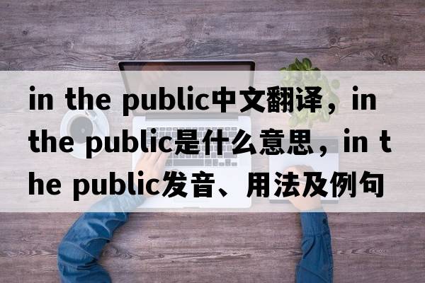 in the public中文翻譯，in the public是什么意思，in the public發(fā)音、用法及例句