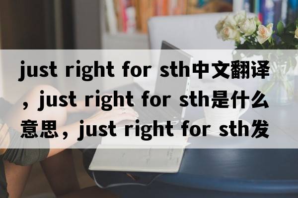 just right for sth中文翻譯，just right for sth是什么意思，just right for sth發(fā)音、用法及例句