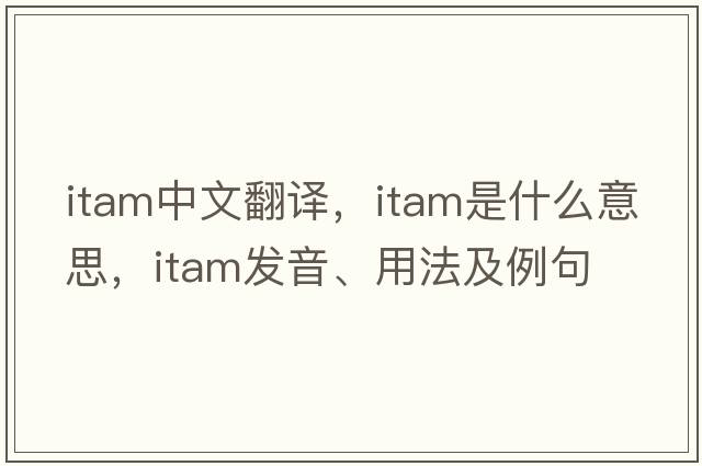 itam中文翻譯，itam是什么意思，itam發(fā)音、用法及例句