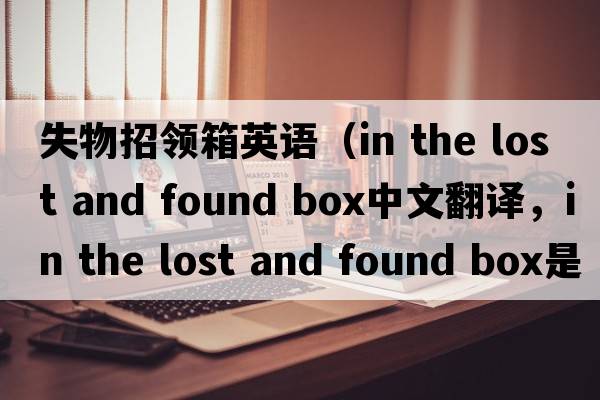 失物招領(lǐng)箱英語(yǔ)（in the lost and found box中文翻譯，in the lost and found box是什么意思，in the lost and found box發(fā)音、用法及