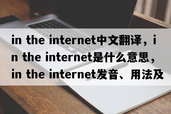 in the internet中文翻譯，in the internet是什么意思，in the internet發(fā)音、用法及例句