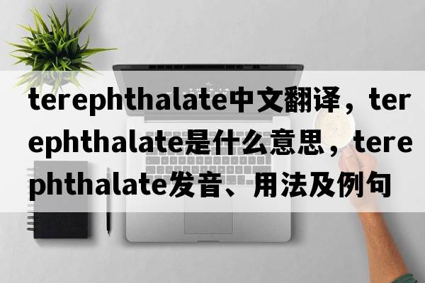 terephthalate中文翻譯，terephthalate是什么意思，terephthalate發(fā)音、用法及例句