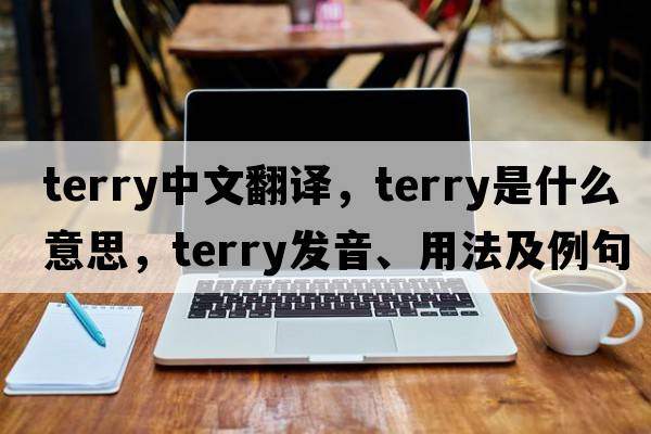 terry中文翻譯，terry是什么意思，terry發(fā)音、用法及例句