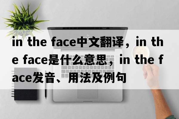 in the face中文翻譯，in the face是什么意思，in the face發(fā)音、用法及例句