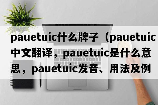 pauetuic什么牌子（pauetuic中文翻譯，pauetuic是什么意思，pauetuic發(fā)音、用法及例句）