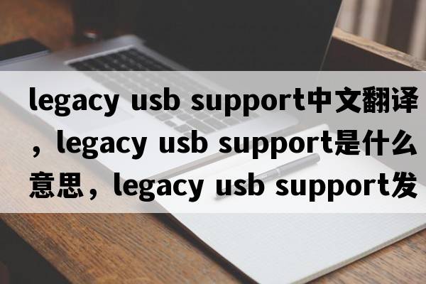 legacy usb support中文翻譯，legacy usb support是什么意思，legacy usb support發(fā)音、用法及例句