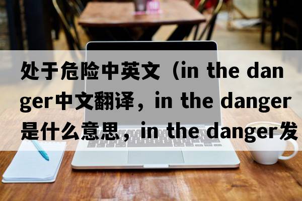 處于危險中英文（in the danger中文翻譯，in the danger是什么意思，in the danger發(fā)音、用法及例句）