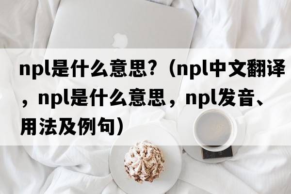 npl是什么意思?（npl中文翻譯，npl是什么意思，npl發(fā)音、用法及例句）