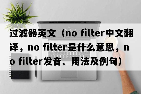 過(guò)濾器英文（no filter中文翻譯，no filter是什么意思，no filter發(fā)音、用法及例句）