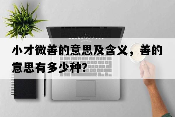 小才微善的意思及含義，善的意思有多少種？