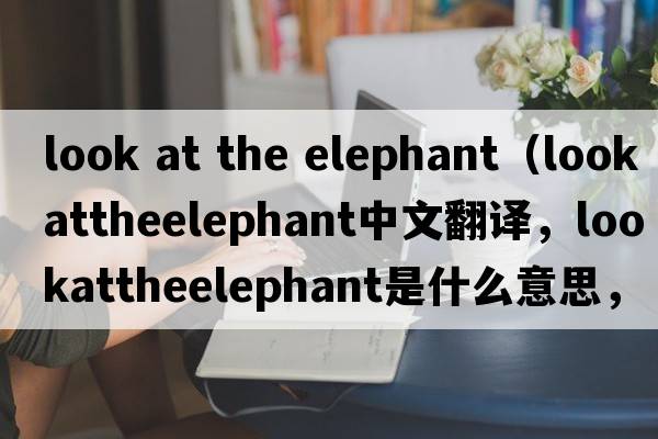 look at the elephant（lookattheelephant中文翻譯，lookattheelephant是什么意思，lookattheelephant發(fā)音、用法及例句）