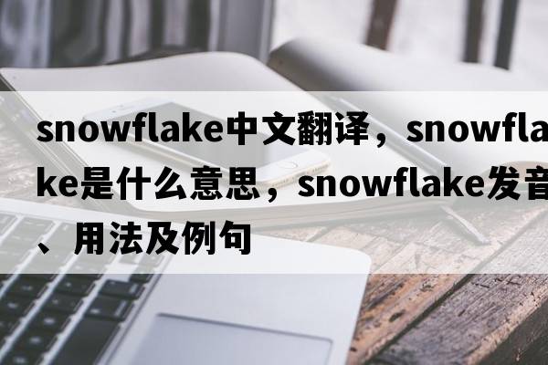 snowflake中文翻譯，snowflake是什么意思，snowflake發(fā)音、用法及例句
