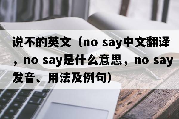 說(shuō)不的英文（no say中文翻譯，no say是什么意思，no say發(fā)音、用法及例句）
